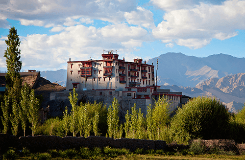 Leh City & Monastery Tour
